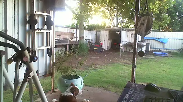 Preview of herbie010666