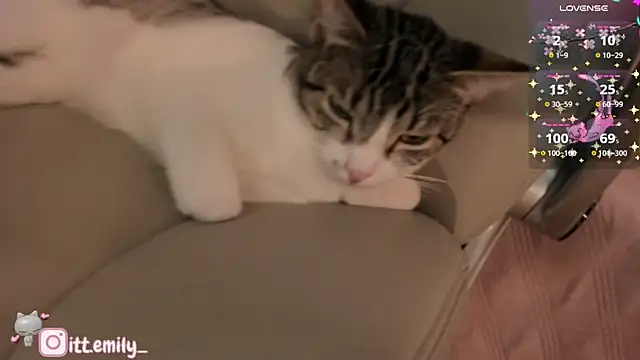 emily_uwu0 - Emily_uwu0's free webcam - UK Sex Cams