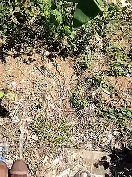 pussy_lovrmumbai_ka (M young) - Sexy talks chatting with masterbating in