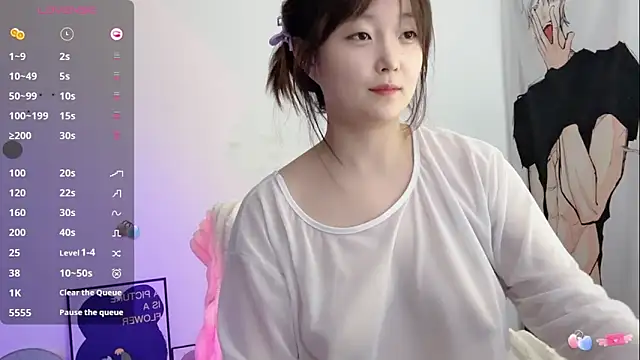 _flipped_ - _flipped_'s free webcam