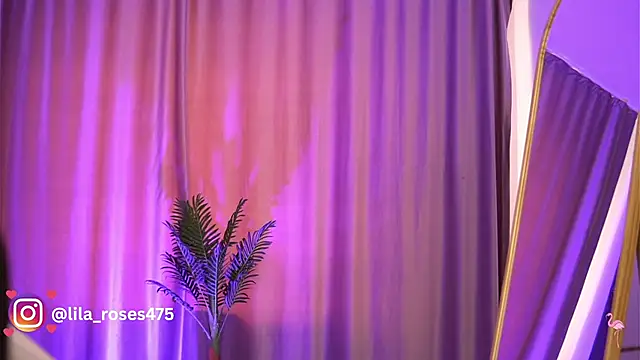 Preview of lilaroses