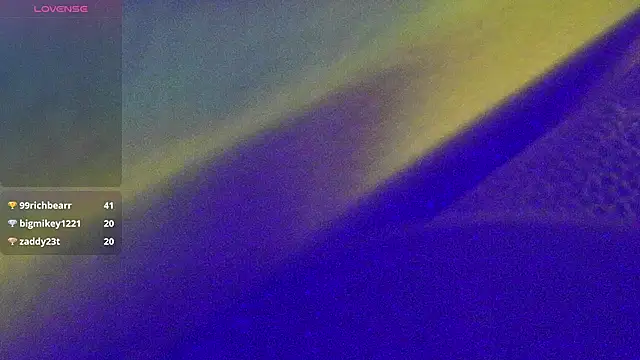 Preview of domedoggynow