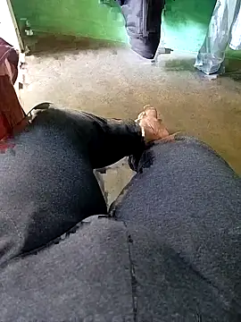 Preview of playbo100