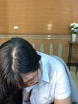 hide_from_colleagues webcam