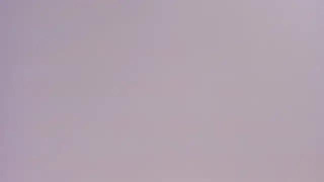 Preview of ariavelvet_