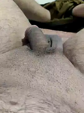 Preview of big_boss_ind