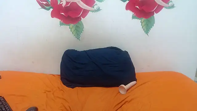 MiniSeduction webcam