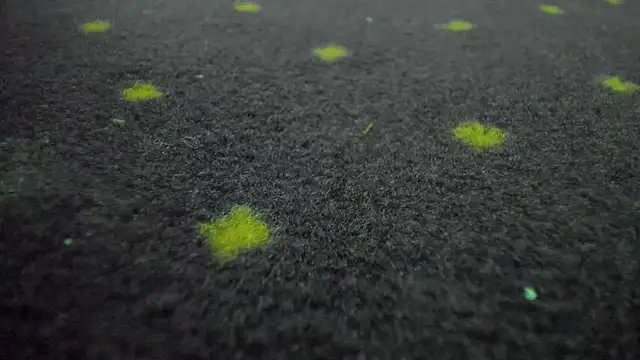 aisharouhi - AishaRouhi's free webcam