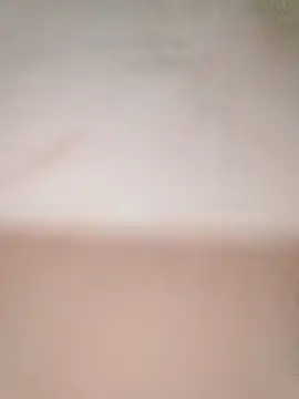 dianakute - DIANAKUTE's free webcam