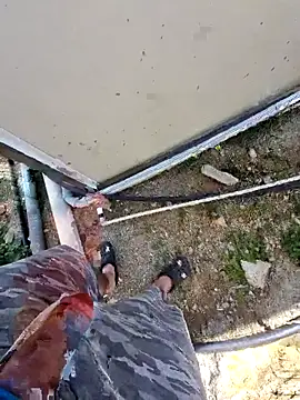 Mahmut4848 live sex cam