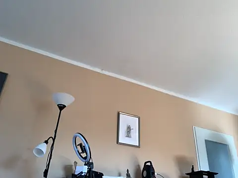 Preview of bula94193