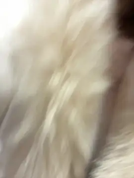 美女littleqiu在线直播