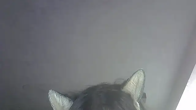 SkinnyKitten live sex cam