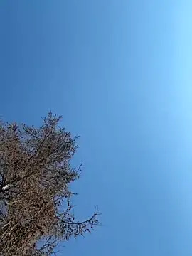 danii0790 (Ask my age) - #brunettes #cam2cam #cheapest-privates #daddies #dildo-or-vibrator #german #handjob #hd #masturbation #medium #mobile #orgasm #outdoor #shower #small-audience #straight #striptease #trimmed #white