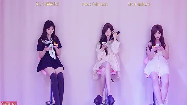 美女VIVA-002在线直播