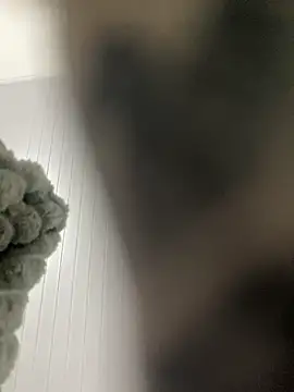 Preview of lefararafael