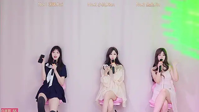 美女VIVA-002在线直播