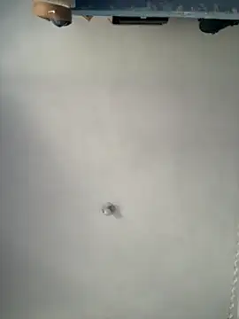 ambermoss1 (F young) - SHAKE MY BOOBS