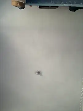 Preview of ambermoss1