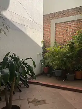 Preview of mike_savage3