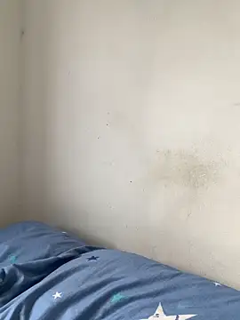 la-gatiita-trans - La-Gatiita-trans's free webcam - UK Sex Cams