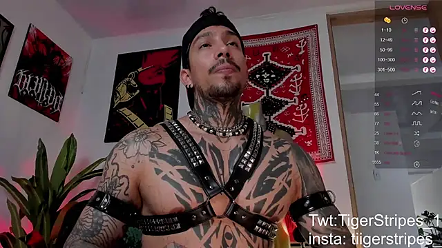 Preview of tigerstripes1_