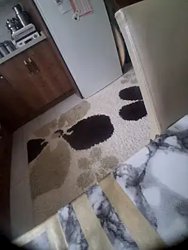 Preview of 510915asi