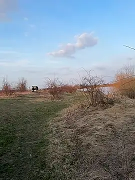 Marina- live cam profile