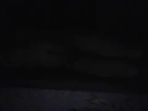 desi_rider_aadi (M young) - Cum Show 💗