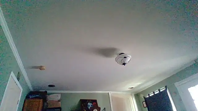 ThatPlatinumD live sex cam