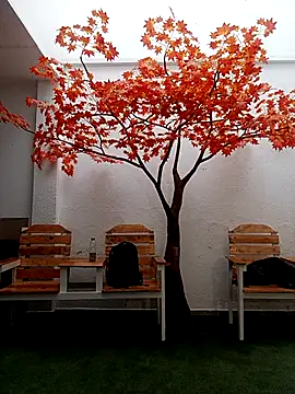 Preview of dante_knox