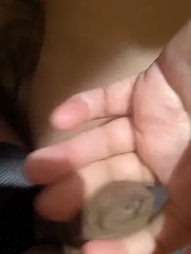 madaamjizz_dicklewd (G milf) - Pussy