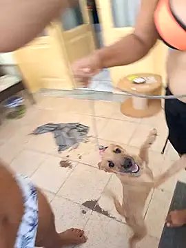 wakahoe (Ask my age) - #anime #beardy #bears #big-balls #brazilian #cam2cam #cheap-privates #chunky #cock-rating #colorful #creampie #cumshot #daddies #dirty-talk #ejaculation #facial #handjob #hd #humiliation #latin #massage #masturbation #mobile #outdoor #portuguese-speaking #pov #sexting #shower #small-audience #smoking #straight