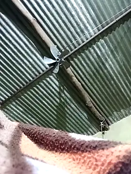 Haliya88 live sex cam