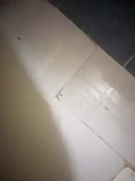 Preview of heatablerevan