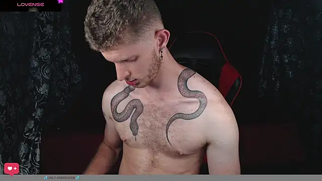 Preview of andrewxbi