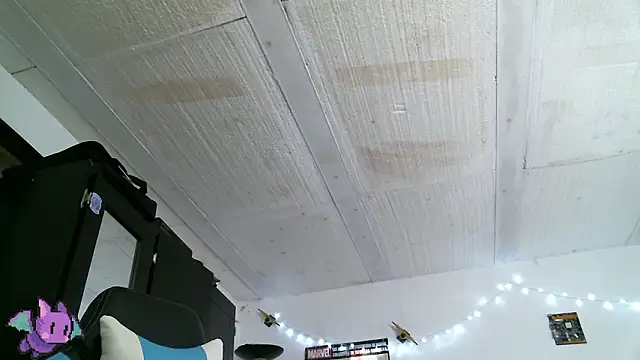 Preview of dickie_dicking