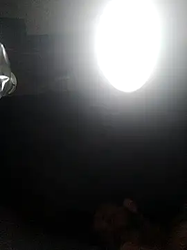 Preview of leocesar37