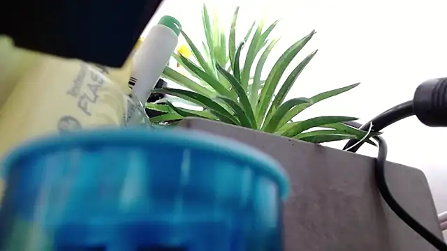 niky_777 - Niky_777's free webcam