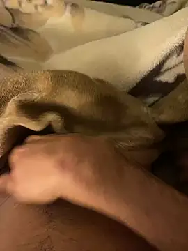 Achrafsad9i's live cam