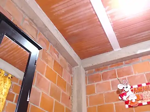 Preview of vergon3624