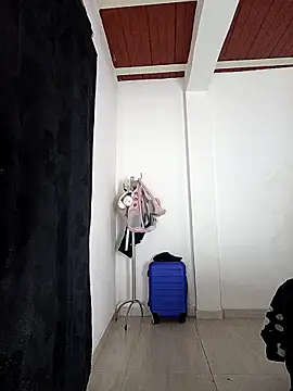 Preview of jaramilloali