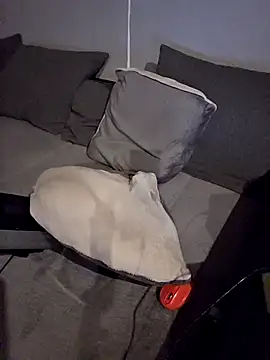 Da_riva live sex cam