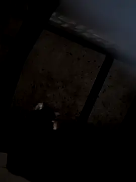 dirtyfeelin (F young) - Crazy surprise buttplug 🍑🥵