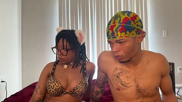 Preview of stellakobra