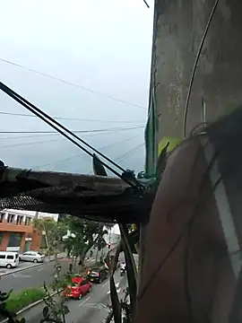 Webcam Model (k_lebannon) is live