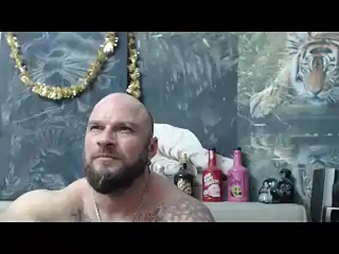 Preview of viking_30