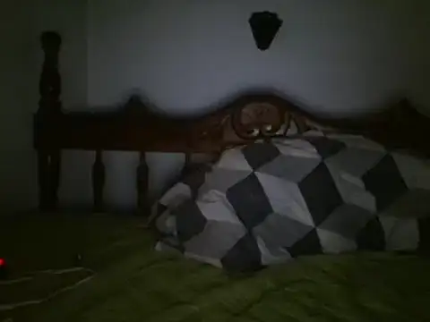 bbccol1 live sex cam