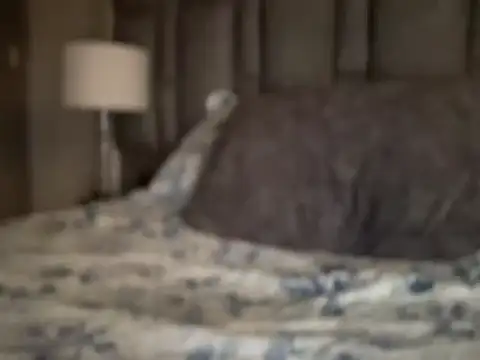 alexandergrey760886 - Alexandergrey760886's free webcam - UK Sex Cams