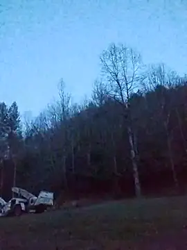 Biknight live sex cam